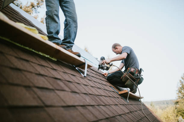 Best Commercial Roofing Services  in Holly Springs, MS