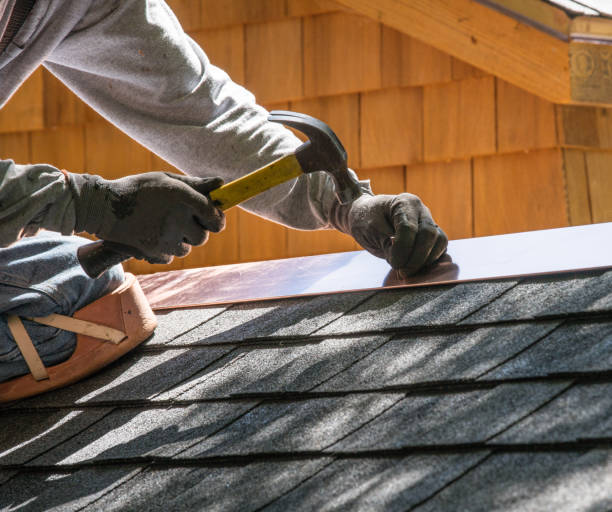 Best Roof Repair Services  in Holly Springs, MS